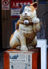 谷中銀座　吾輩は谷中七福猫