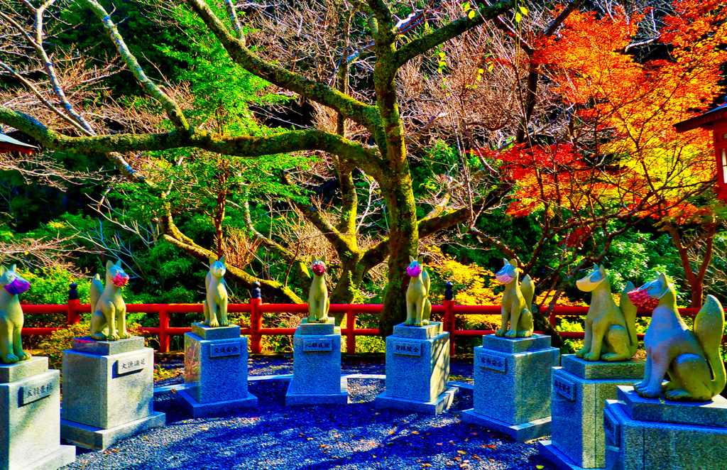 大寧寺の紅葉⑨（山口県長門市）