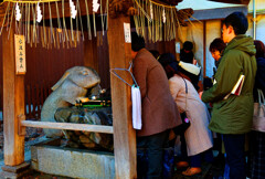 手水舎の兎さん大忙し　（さいたま市 調神社）