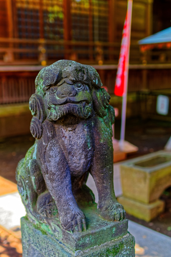 親しみ感じる狛犬②　（調布 布田天神社）