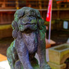 親しみ感じる狛犬②　（調布 布田天神社）