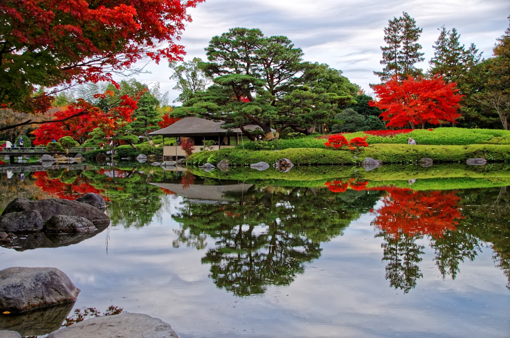 水鏡②　昭和記念公園にて