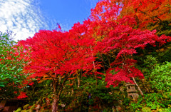 息を吞むような美しさ 紅葉（堀庭園）