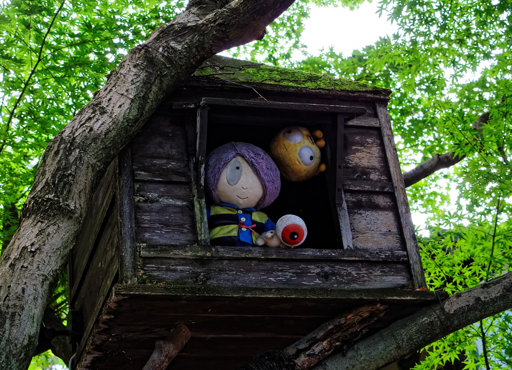 鬼太郎茶屋の上にこんな物が・・・　深大寺にて