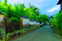 菊屋横丁南側の風情　(山口県萩市)