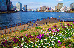 パリ広場の花壇　佃島にて