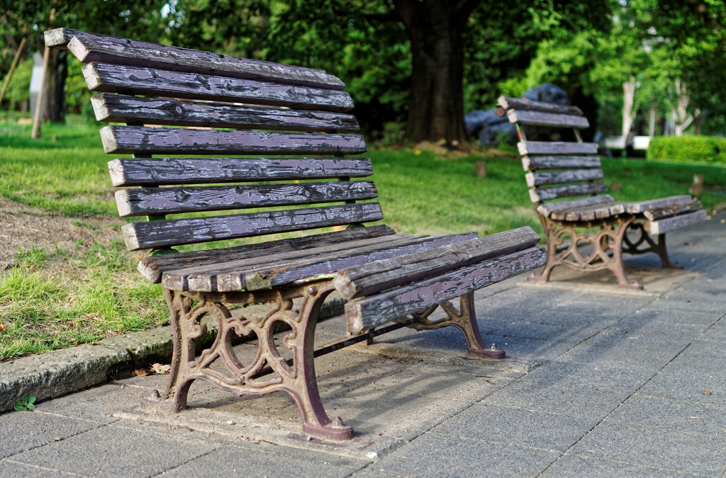 朽ちゆくベンチ