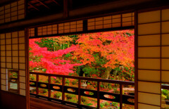 主屋二階より眺める庭園　(津和野 旧堀氏庭園)