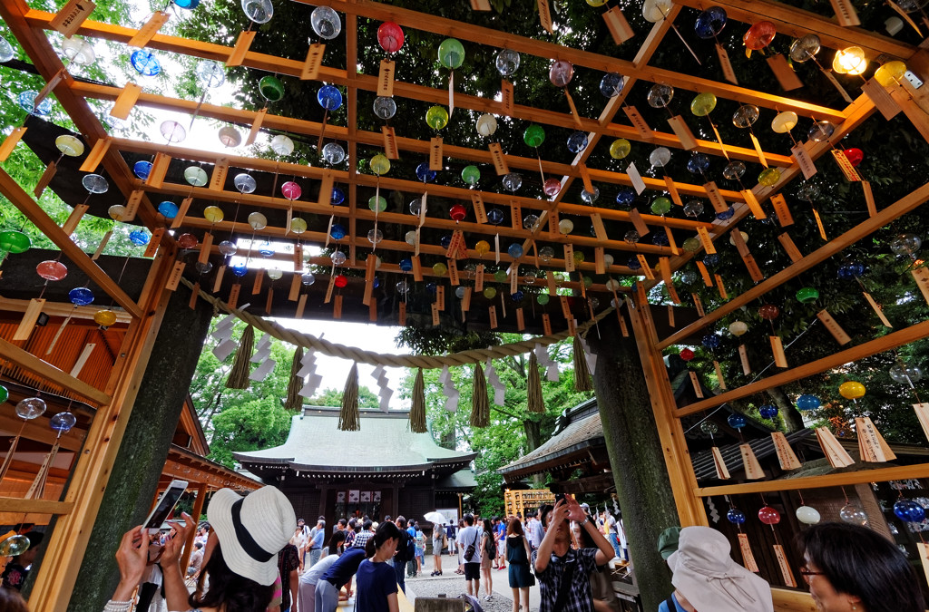 縁むすび風鈴開催中　小江戸川越　氷川神社にて