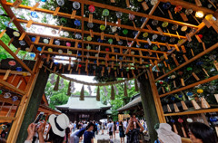 縁むすび風鈴開催中　小江戸川越　氷川神社にて