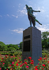 今年も薔薇が綺麗に咲いたよ～