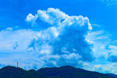 わんちゃんのように見えなくもないな～ 夏雲 　（山口県萩市）