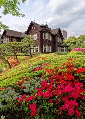 ツツジと洋館　旧古川庭園（２）