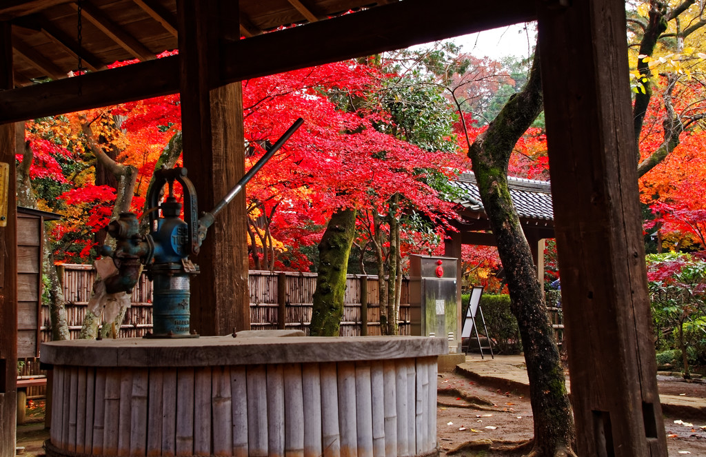 井戸と紅葉の光景　平林寺にて