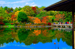 紅葉と水鏡 日本庭園　（国営昭和記念公園）