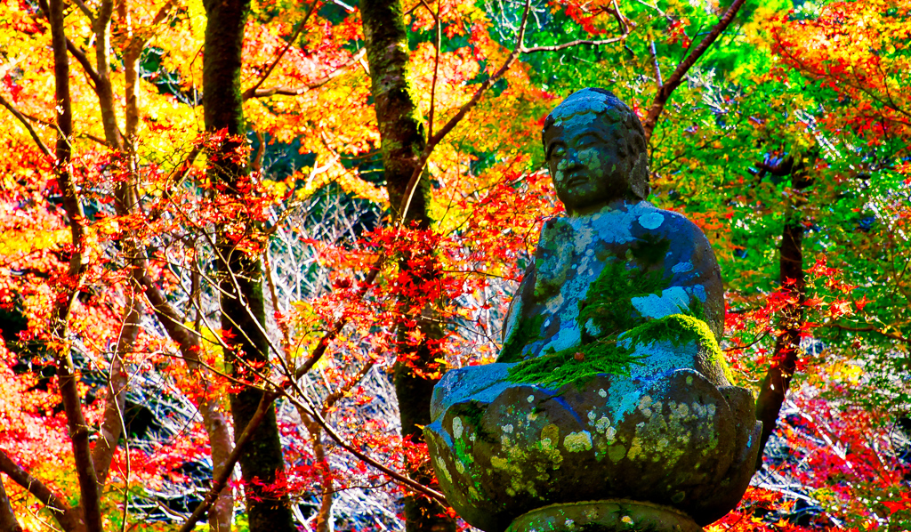 大寧寺の紅葉③（山口県長門市）