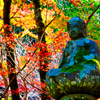 大寧寺の紅葉③（山口県長門市）