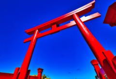 青空に映える元乃隅神社の赤い鳥居