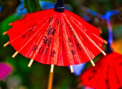 和傘のおみくじ 大吉見っけ　(萩市 松陰神社)