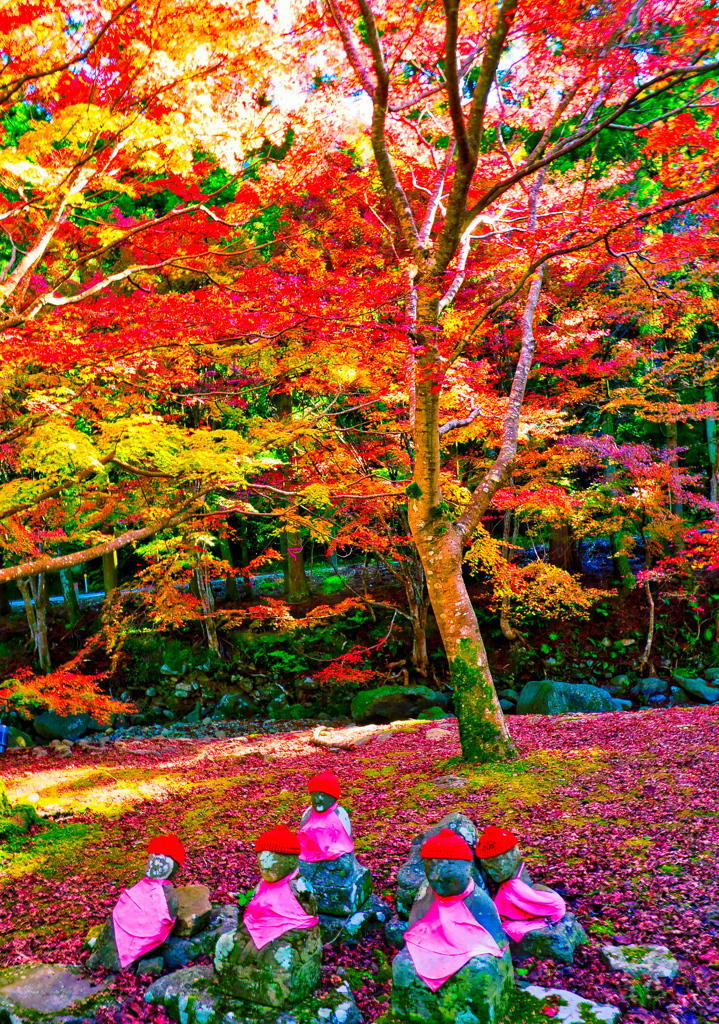 大寧寺の紅葉④（山口県長門市）