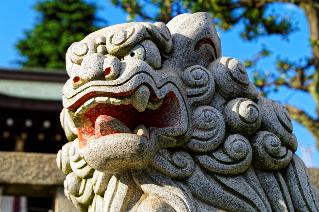 ど迫力！　尾久八幡神社の狛犬