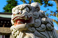 ど迫力！　尾久八幡神社の狛犬