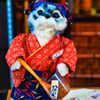 店長　猫唐 辛子　（浅草 観音通り）