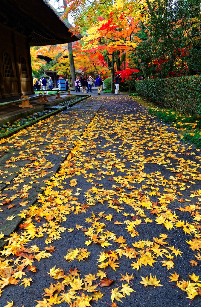 川の流れのように～　平林寺にて