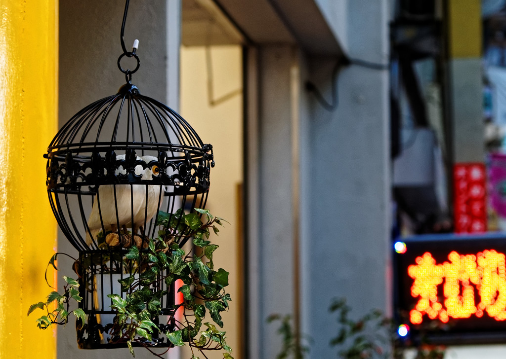 都電荒川線沿線　ジョイフル三ノ輪商店街（３）鳥籠のオブジェがある光景