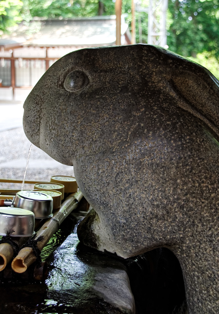 調神社の兎の手水舎