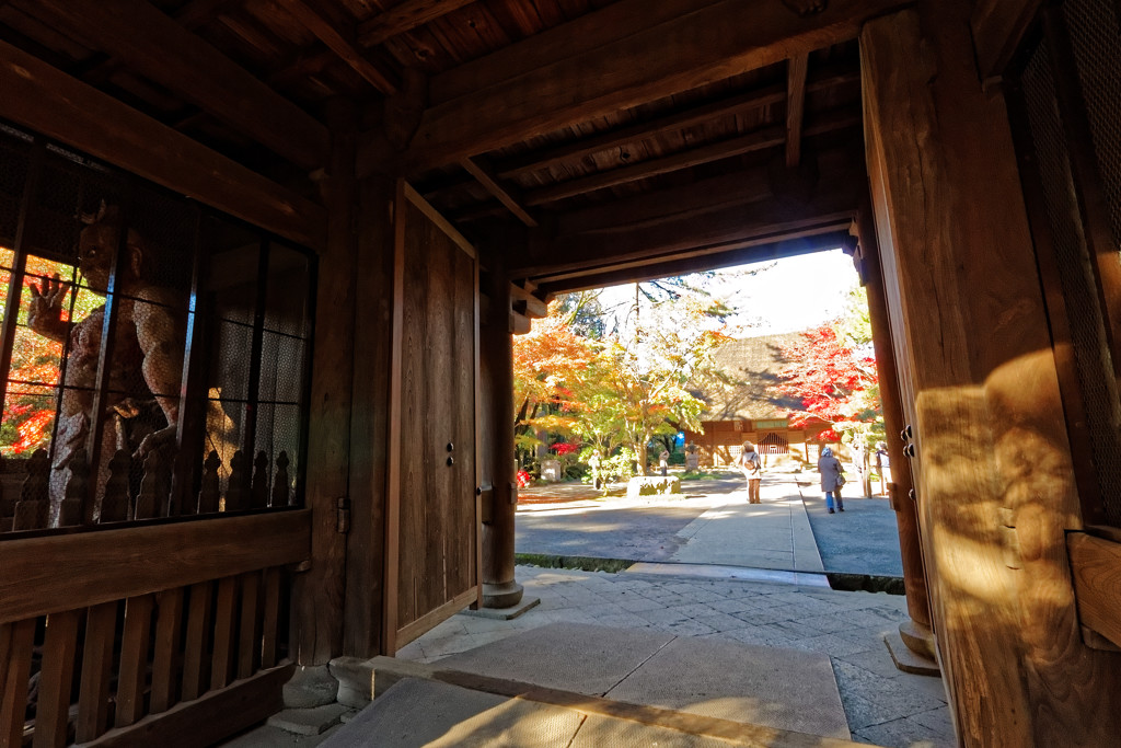 平林寺の紅葉　山門