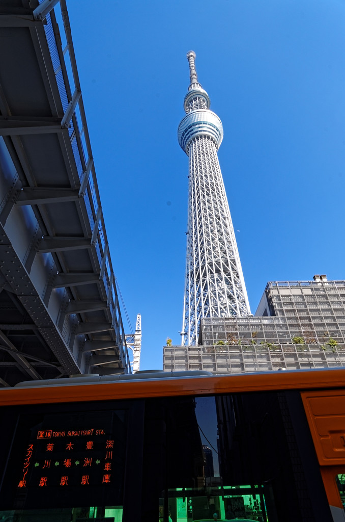 墨田　路線バス越しに東京スカイツリー