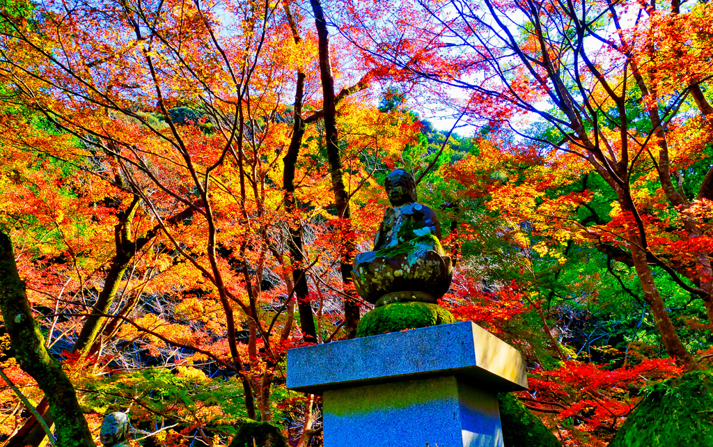 大寧寺の紅葉①（山口県長門市）