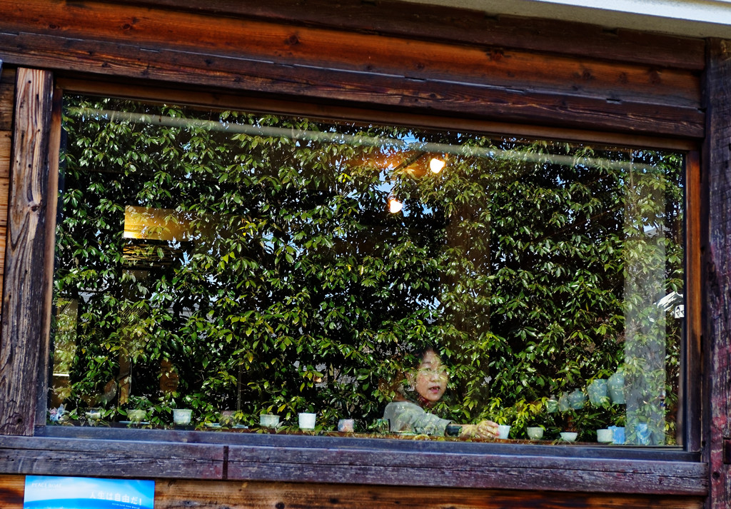 ガラス面に映った樹木の葉と店内の様子が・・・　谷中にて