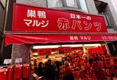 都電荒川線沿線　日本一の赤パンツ