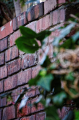 都電荒川線沿線　荒川遊園地周辺の煉瓦塀（２）
