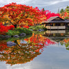 水鏡　昭和記念公園にて