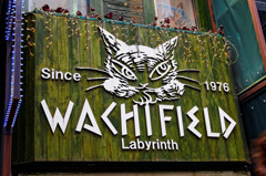 新宿探訪　猫のダヤン Wachifield ①