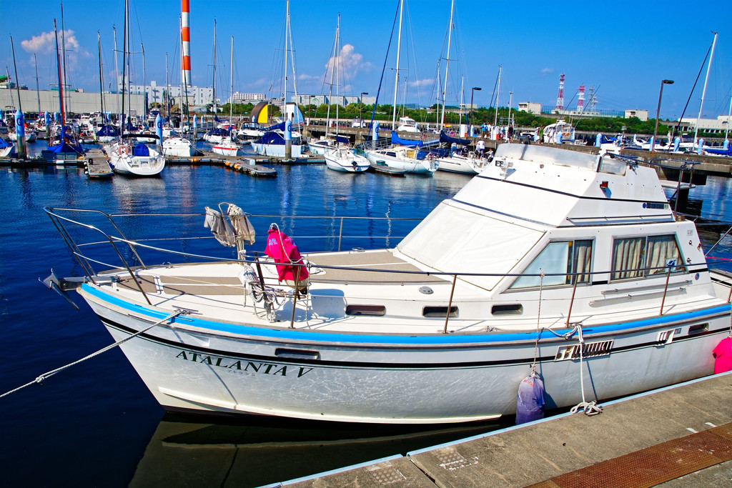 YUMENOSHIMA MARINA　夢の島公園にて