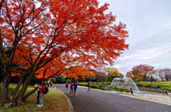 カナールの出会いの広場②　昭和記念公園にて