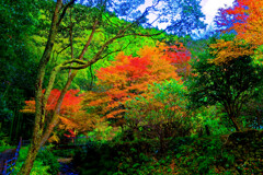 山里風景と紅葉　(山口市 重源の郷)