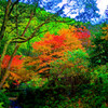 山里風景と紅葉　(山口市 重源の郷)