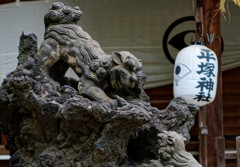 珍しい狛犬です、獅子の子落とし　平塚神社にて