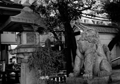 都電荒川線沿線　天祖神社にて