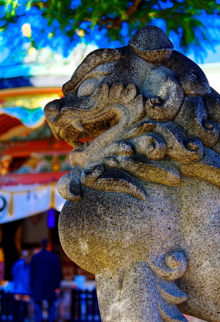 今戸焼狛犬②　（浅草 今戸神社）