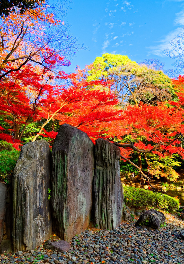 屏風岩と紅葉　（小石川後楽園）