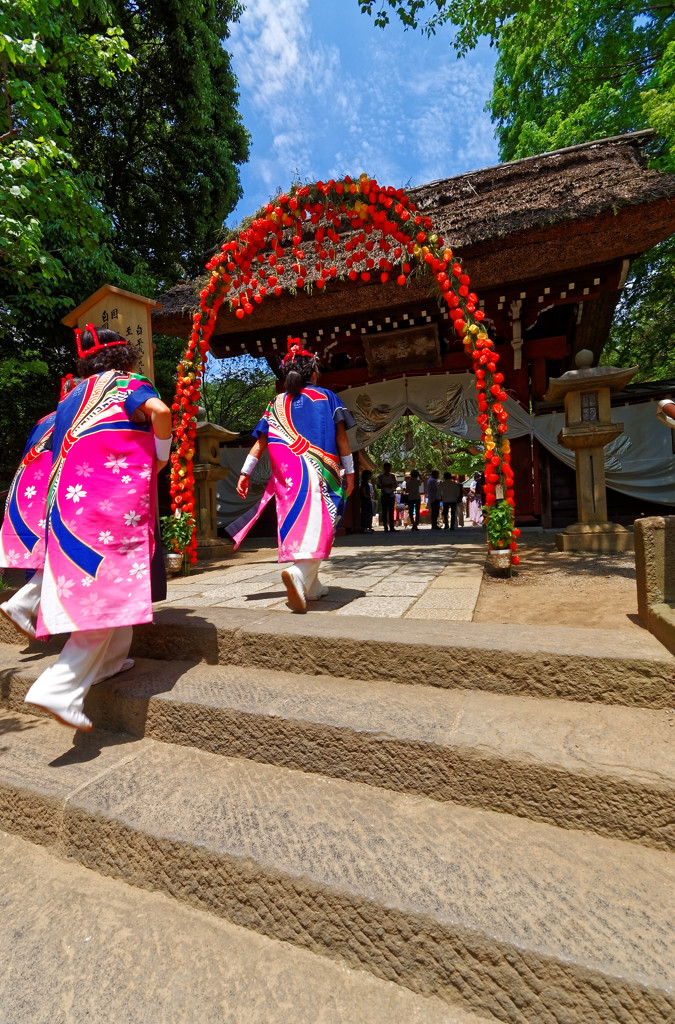 ほおずきのアーチと調布よさこいの踊り手　深大寺鬼燈祭にて