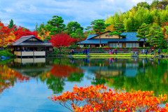 紅葉と水鏡 日本庭園②　（国営昭和記念公園）