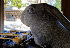 狛兎で有名な調神社の手水舎です