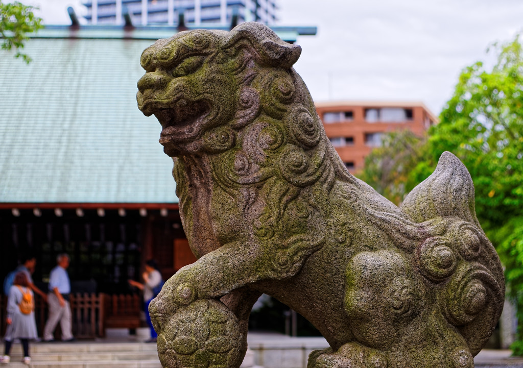 狛犬②　佃島住吉神社にて